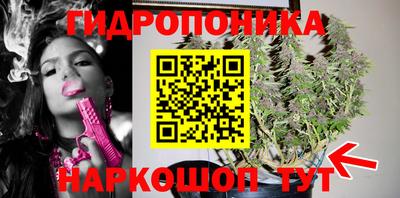 амф Волжский