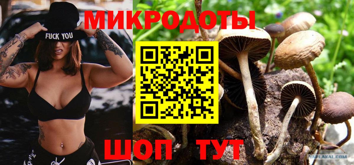 Галлюциногенные грибы мицелий Лесозаводск