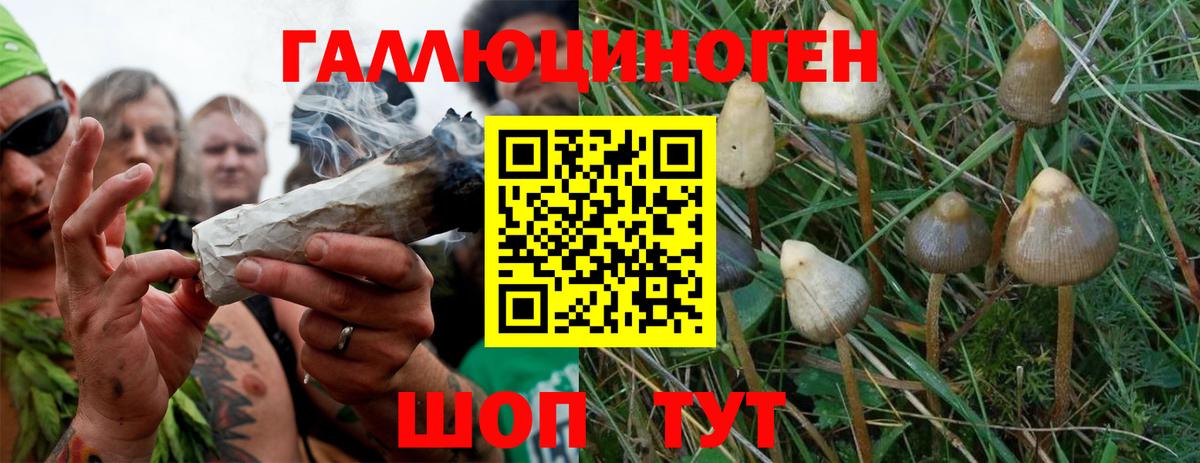 Псилоцибиновые грибы мухоморы  продажа наркотиков  Лесозаводск  Вход с VPN 